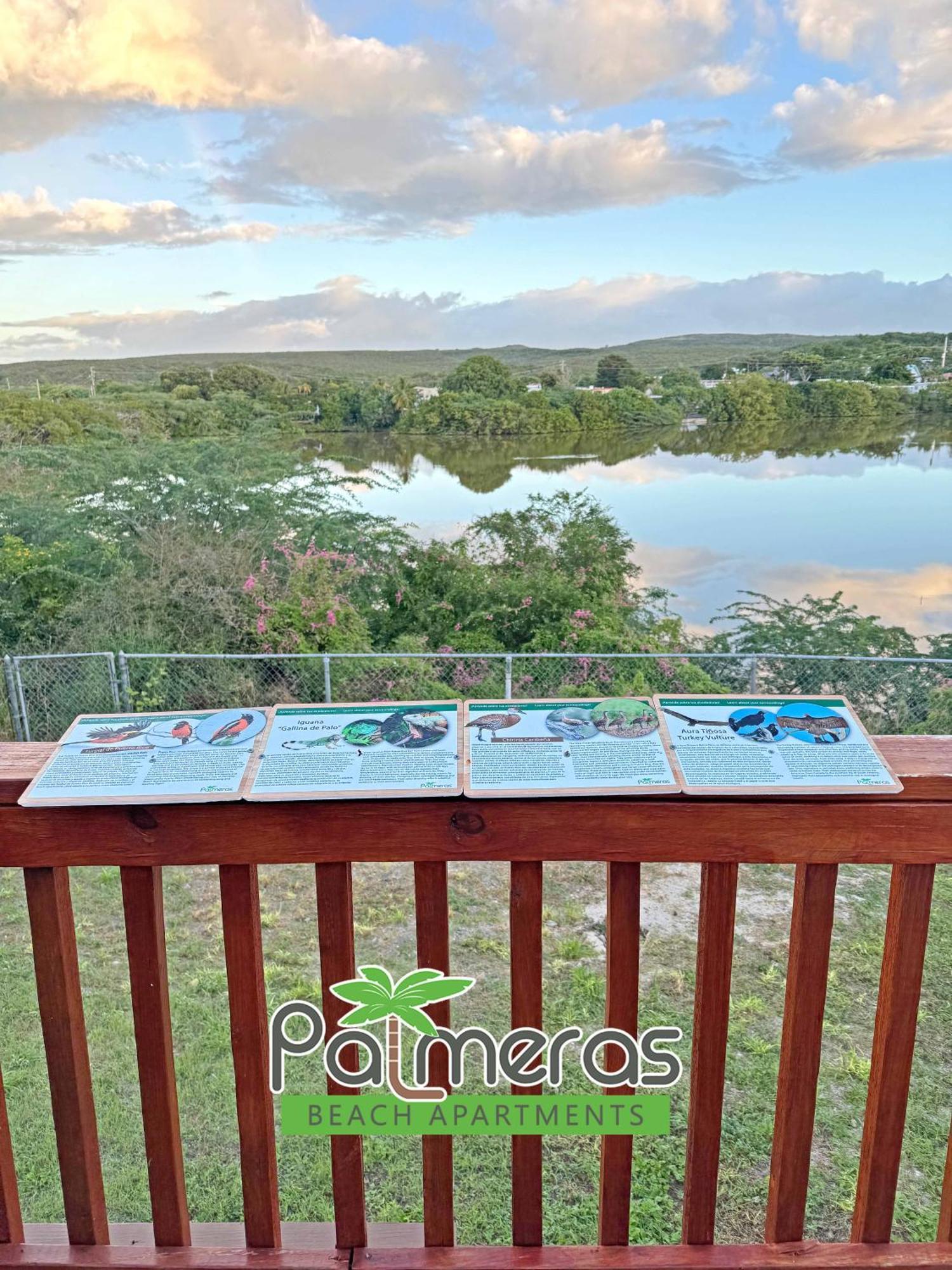 Palmeras Beach Apartments - Playa Santa Guanica Quarto foto